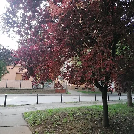 Etno-urban Stan Na Dan *