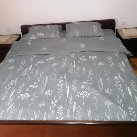 Etno-urban Stan Na Dan パラチン